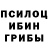 Галлюциногенные грибы прущие грибы Aleksandr Popuraev