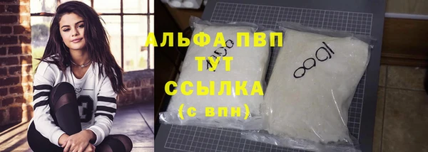 СК Белокуриха