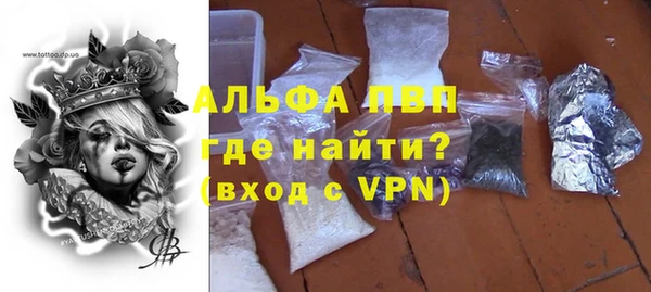 СК Белокуриха