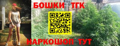 индика Усть-Илимск