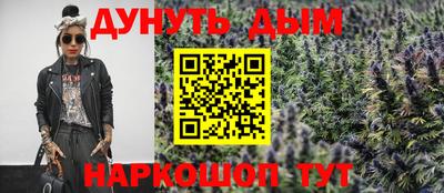 индика Усть-Илимск