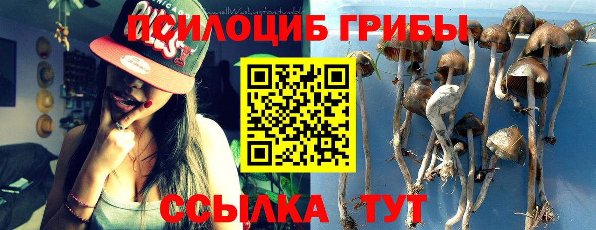 Псилоцибиновые грибы GOLDEN TEACHER Славгород