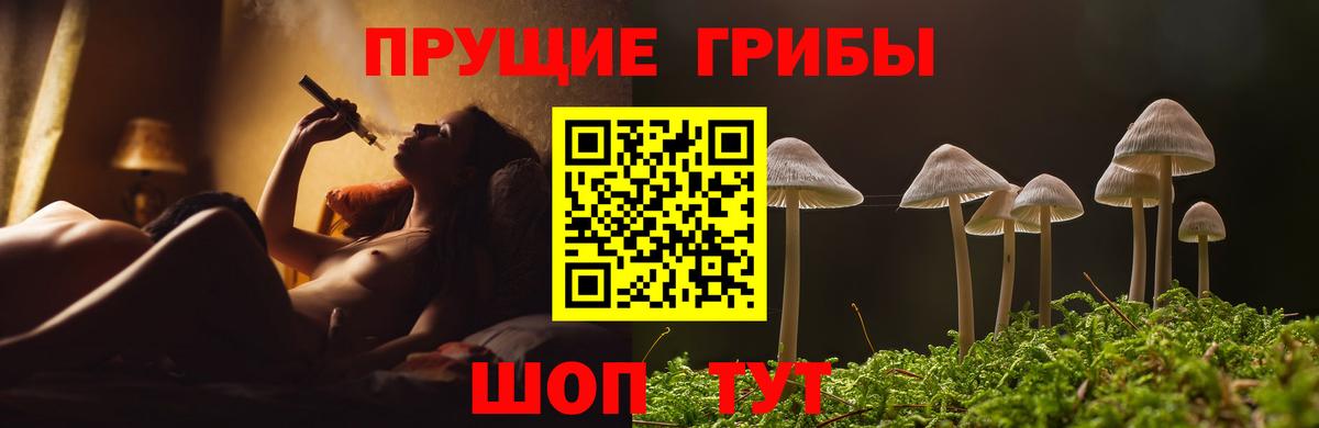 Галлюциногенные грибы ЛСД  Вход с VPN  Славгород  Псилоцибиновые грибы Psilocybe 